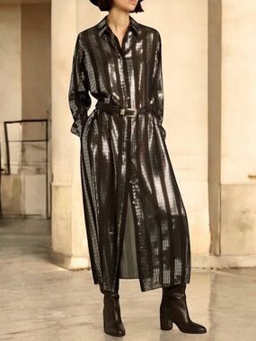 Golden Goose Journey Collection Chemisier Dana Midi Dress in Black Silver